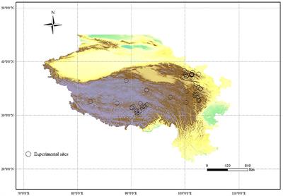 Co-limitation of N and P is more prevalent in the Qinghai-Tibetan Plateau grasslands